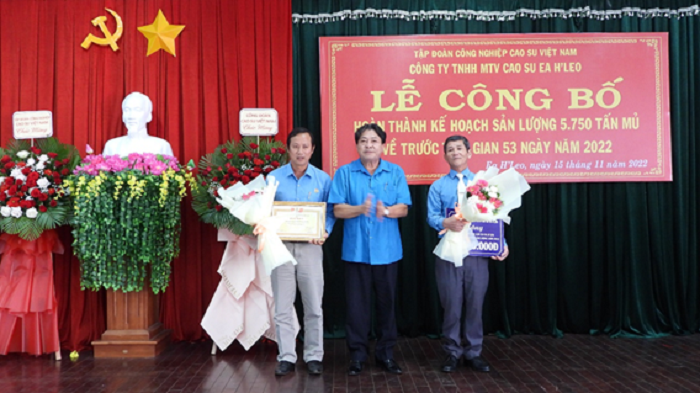 Đơn vị dẫn đầu Tập đoàn công nghiệp cao su Việt Nam hoàn thành kế hoạch sản lượng năm 2022